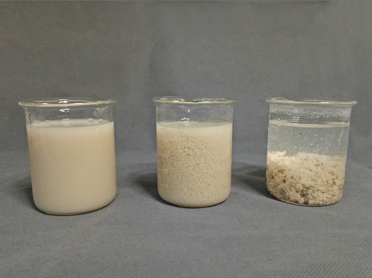 Anionic Polyacrylamide Flocculant for Water Treatment and Industrial Processes