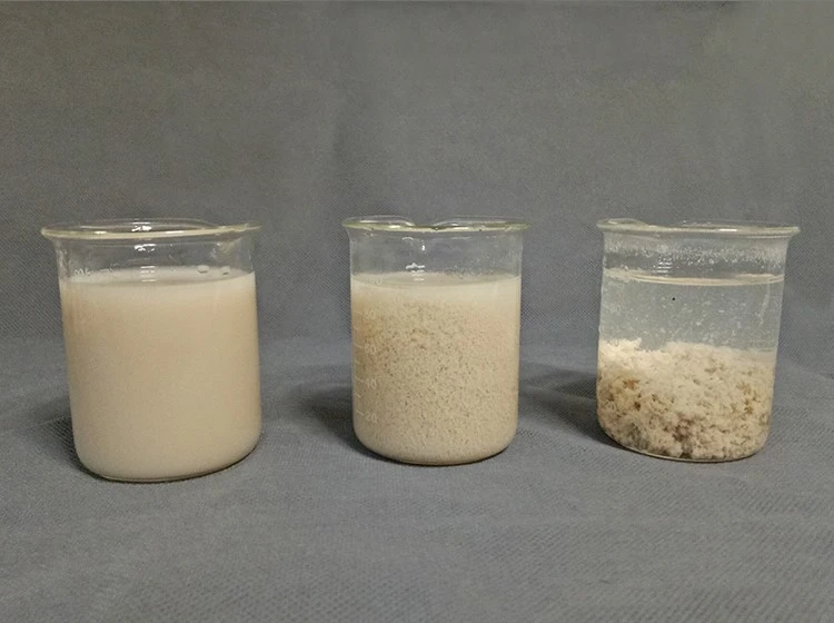 Solid-Liquid Separation Cationic Polyacrylamide Flocculant for Effective (3)