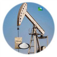 پلی آکریل آمید آنیونی