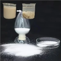 پلی آکریل آمید نیمه هیدرولیز شده کاتیونی